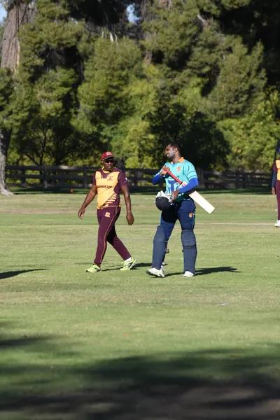 DSC_2354 (Large).JPG